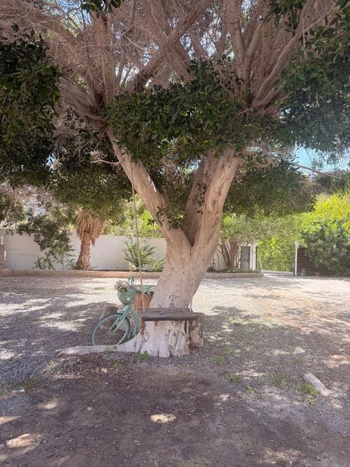 Jardines privados para las dinámicas de pareja - Centro Aquiles